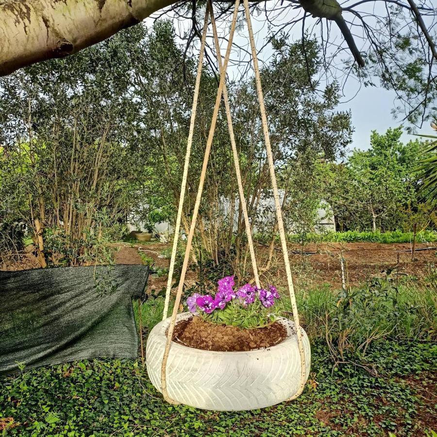 Agriturismo Il Cipresso Vada Zewnętrze zdjęcie