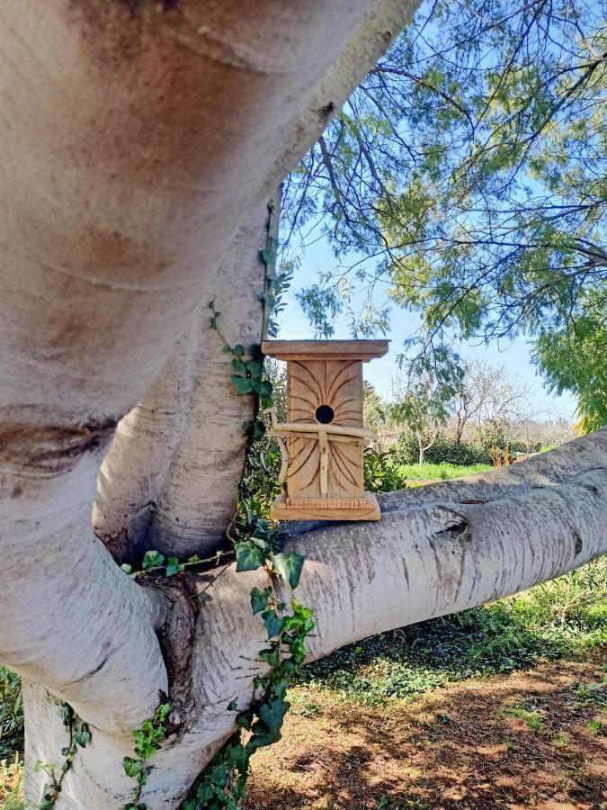 Agriturismo Il Cipresso Vada Zewnętrze zdjęcie