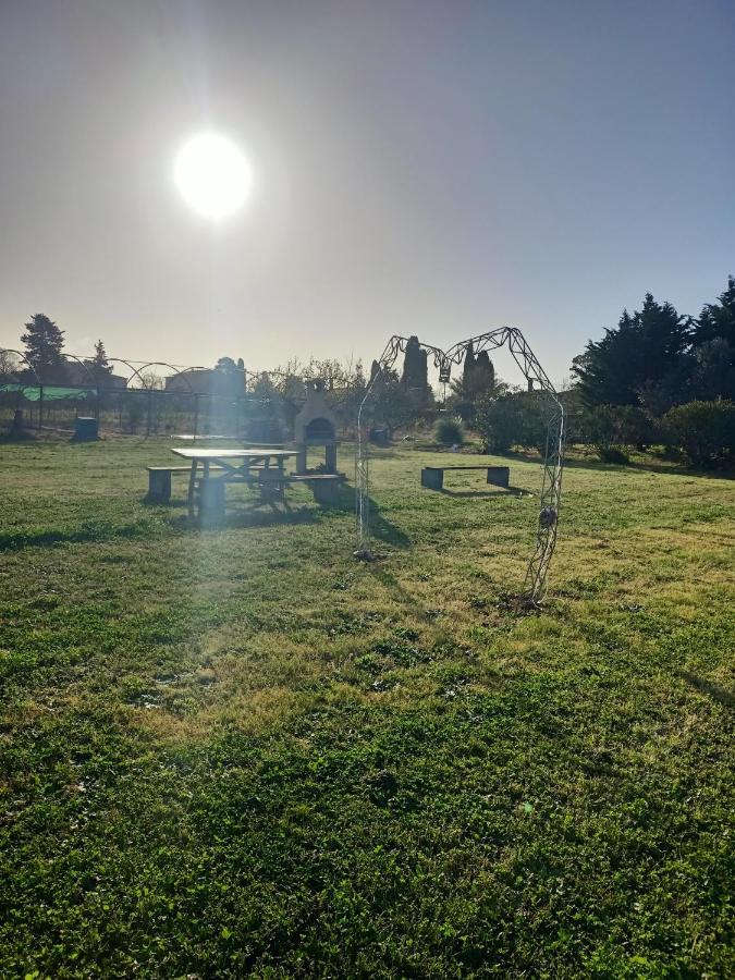 Agriturismo Il Cipresso Vada Zewnętrze zdjęcie