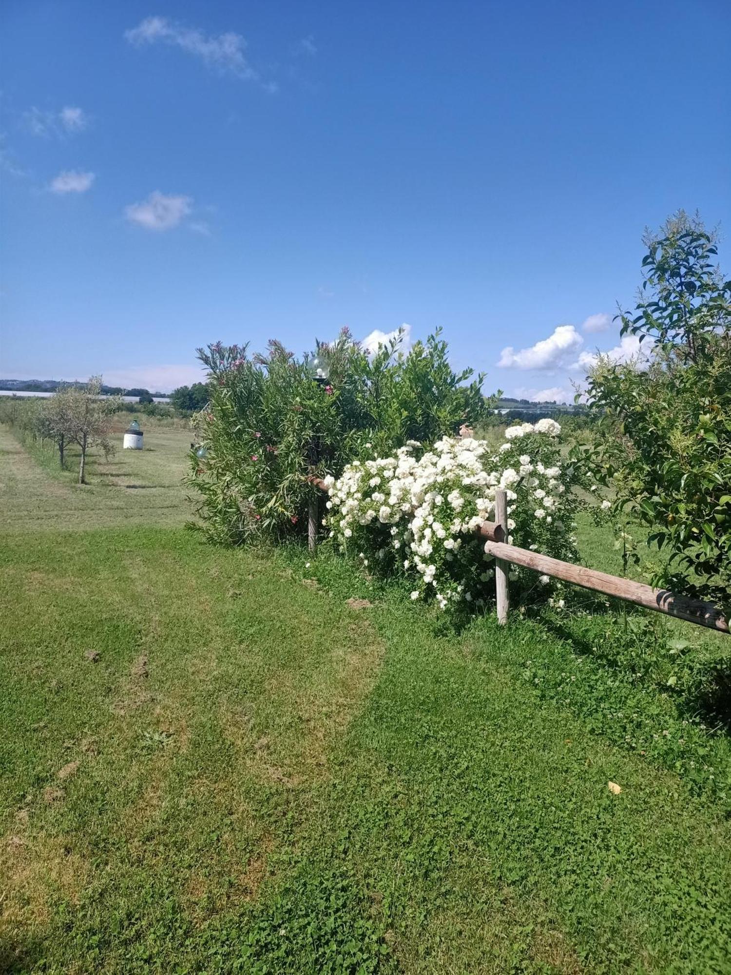 Agriturismo Il Cipresso Vada Zewnętrze zdjęcie