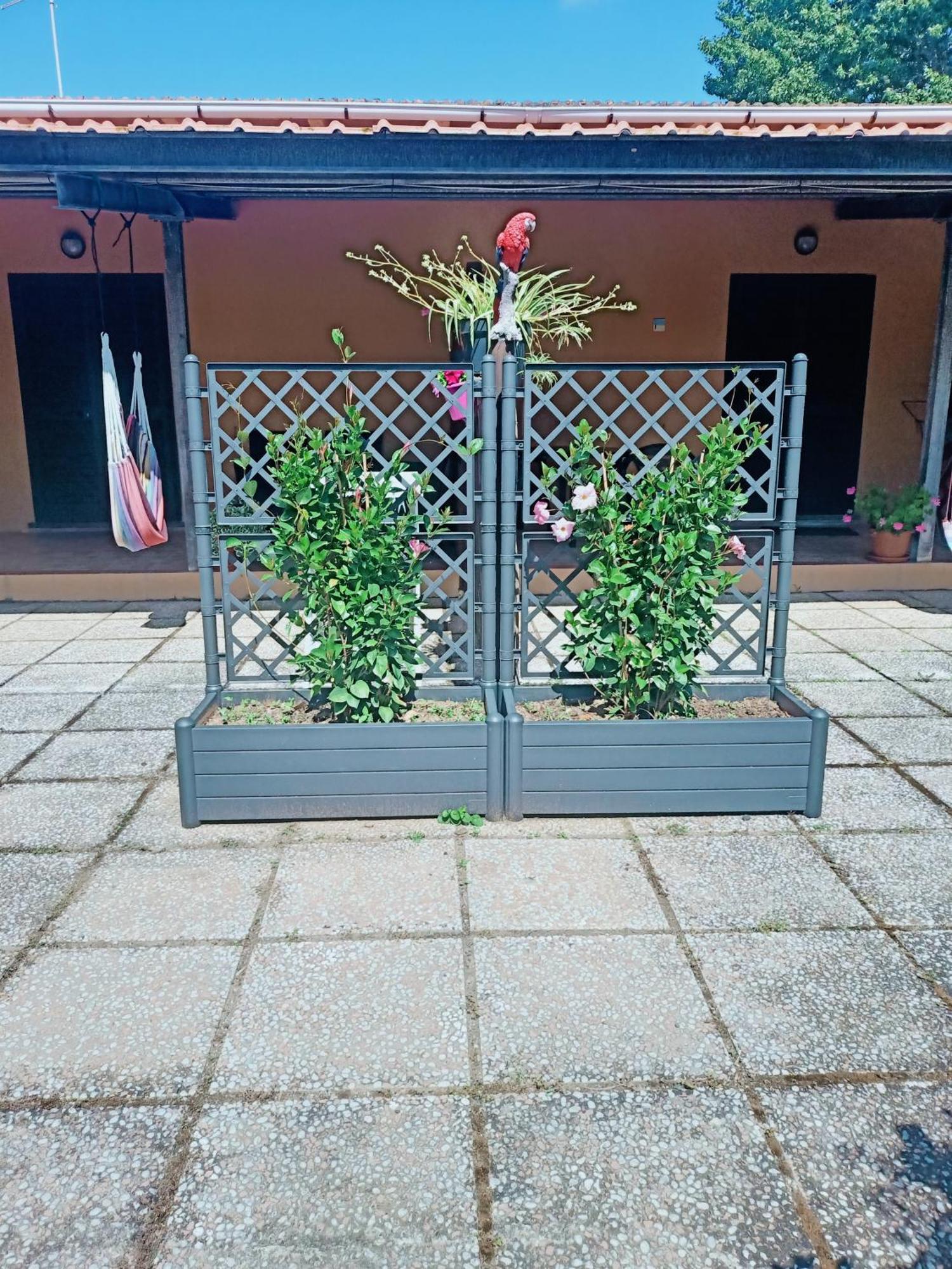 Agriturismo Il Cipresso Vada Zewnętrze zdjęcie