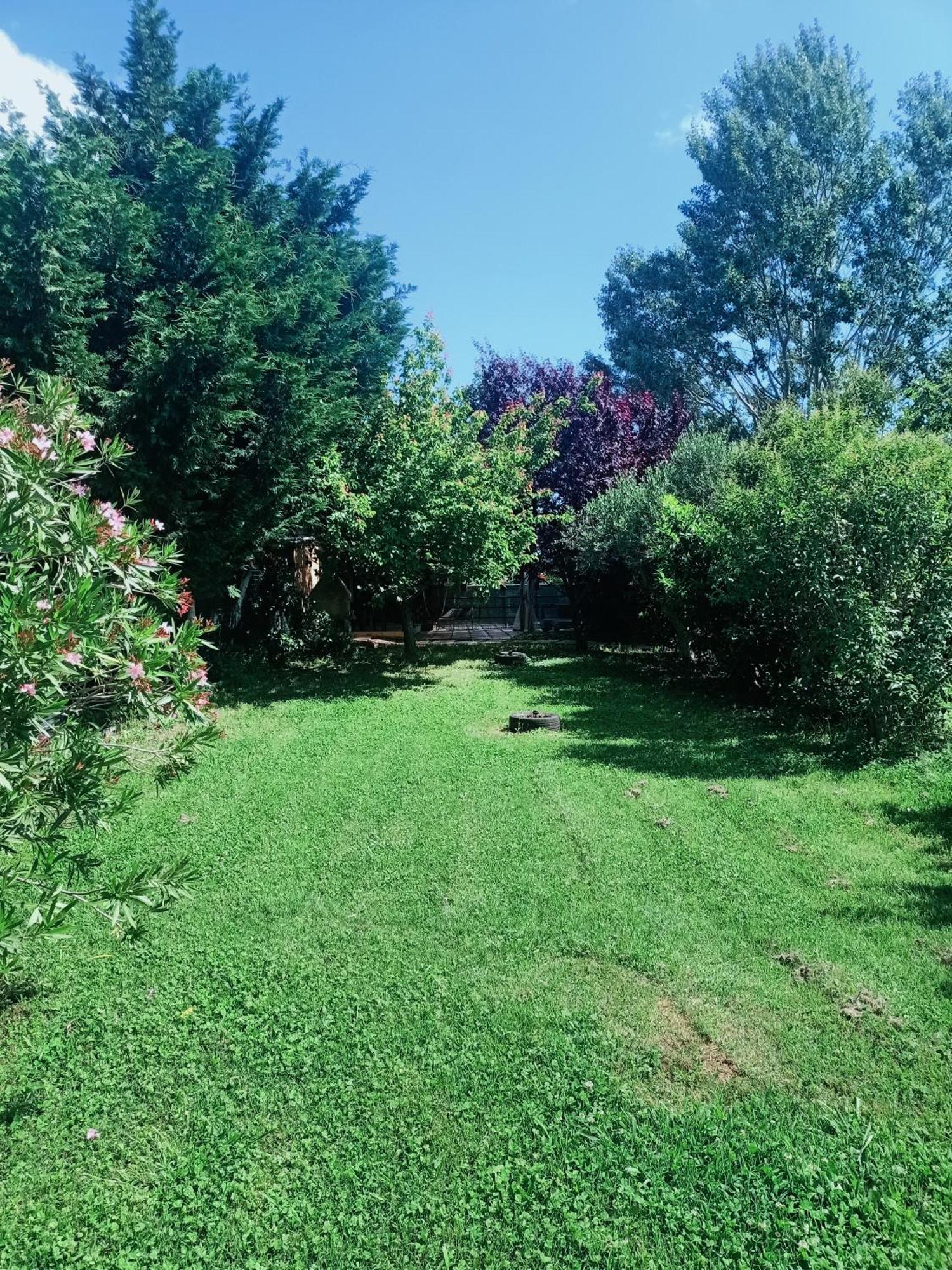 Agriturismo Il Cipresso Vada Zewnętrze zdjęcie