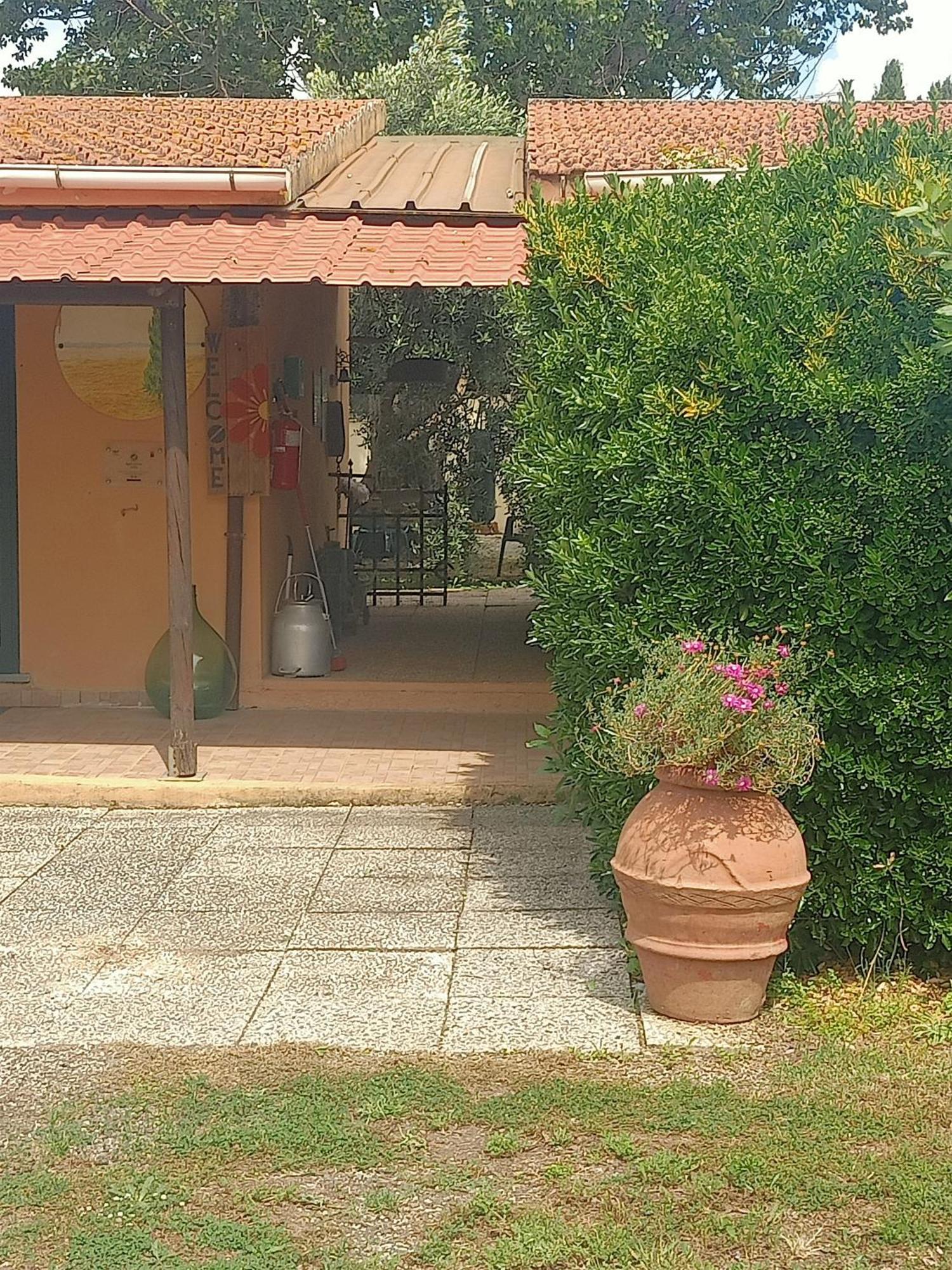 Agriturismo Il Cipresso Vada Zewnętrze zdjęcie