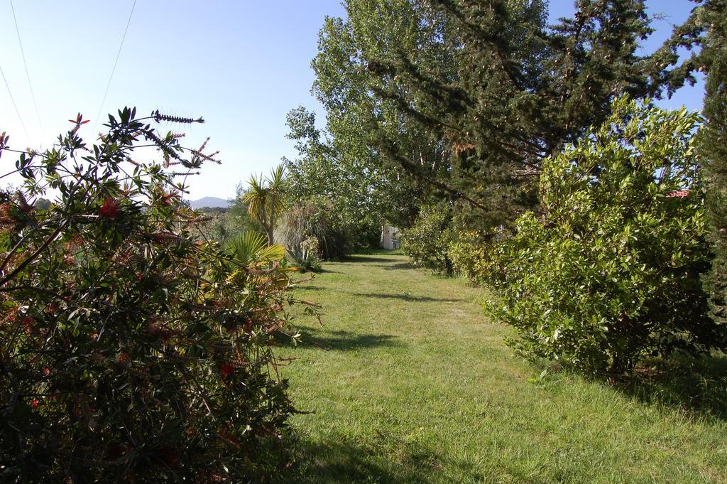 Agriturismo Il Cipresso Vada Zewnętrze zdjęcie